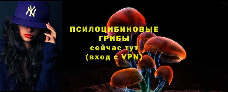 omg рабочий сайт  Тавда  Псилоцибиновые грибы MAGIC MUSHROOMS 